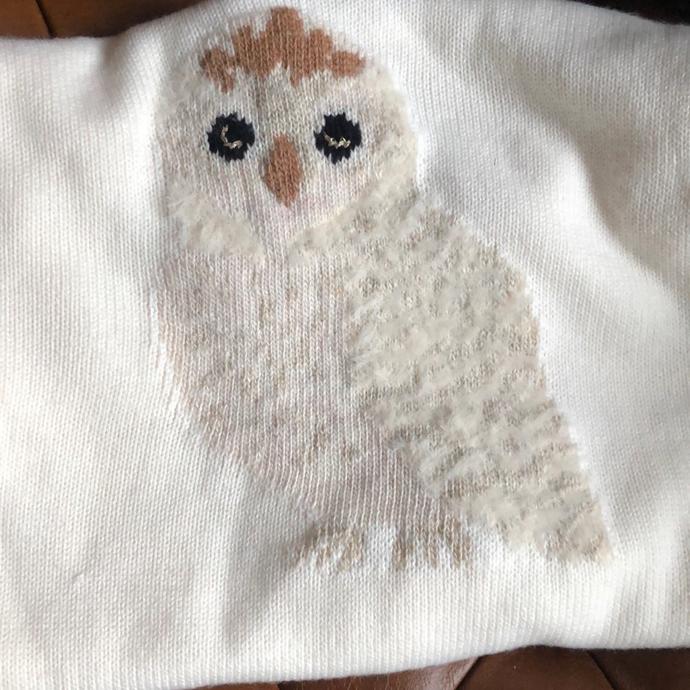 Loft sweater with Owl design